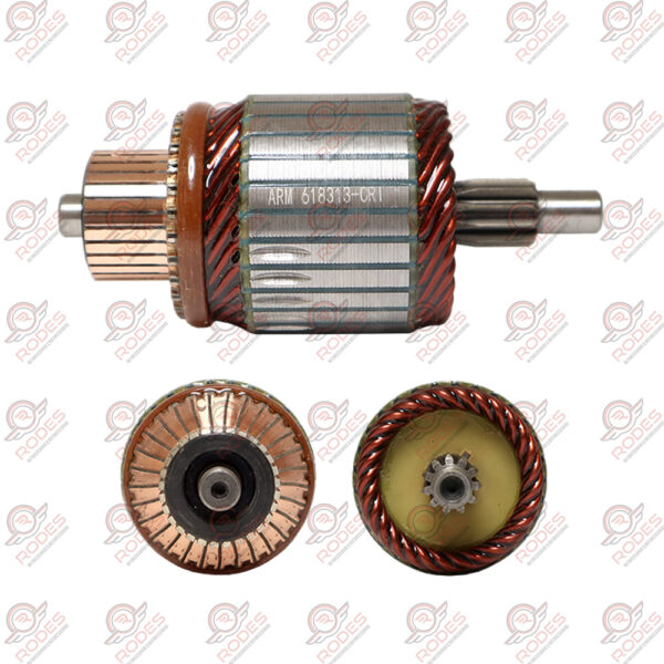 ARM618313