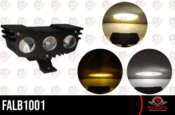 FALB1001