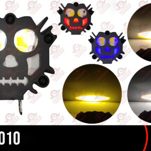 FALB1010