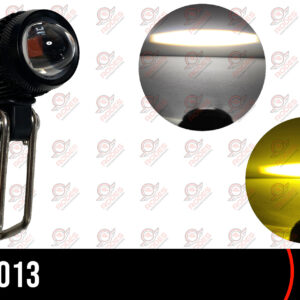 FALB1013